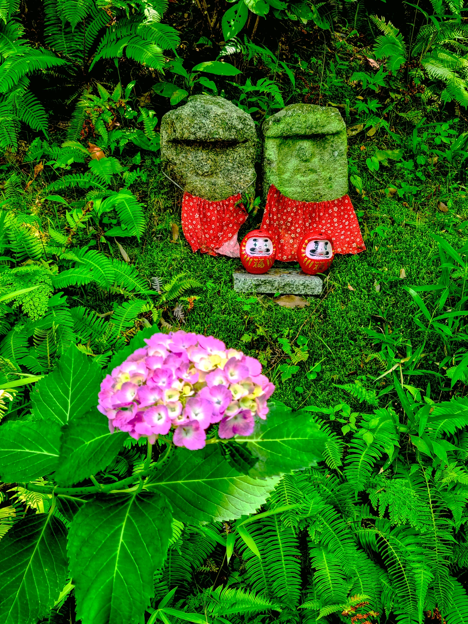 Kyoto Daruma Dolls