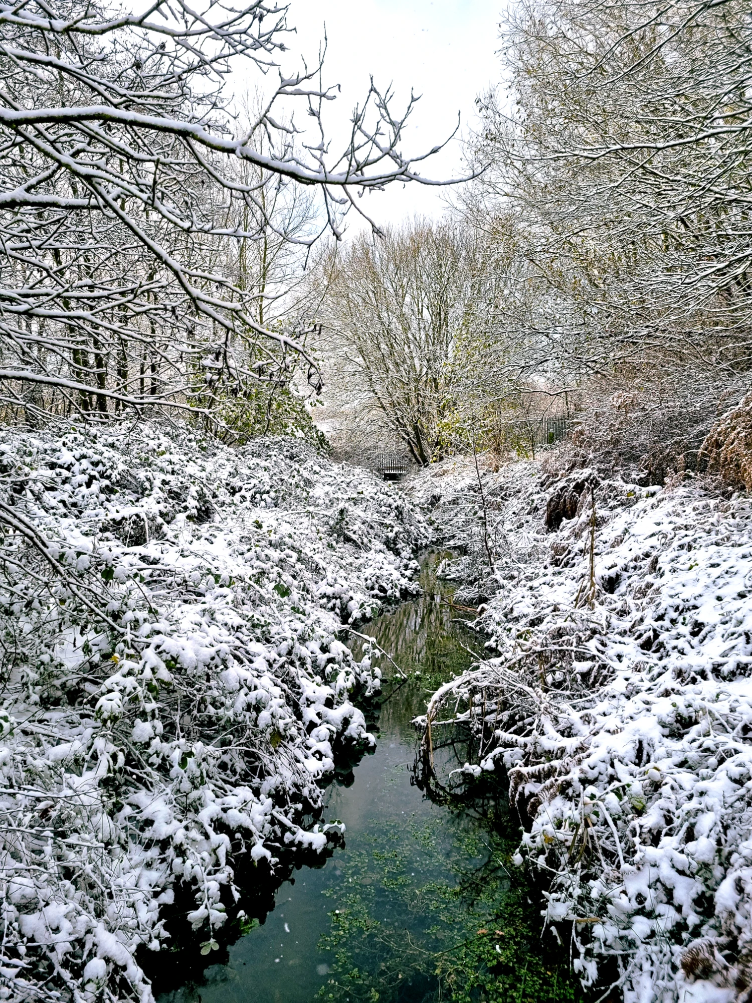 Hebburn Quarry Pond