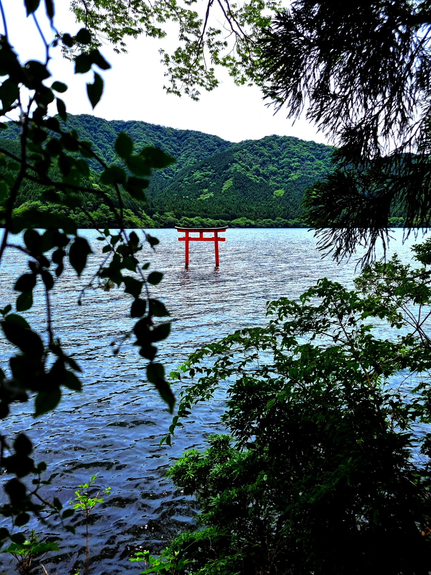 Lake Ashi