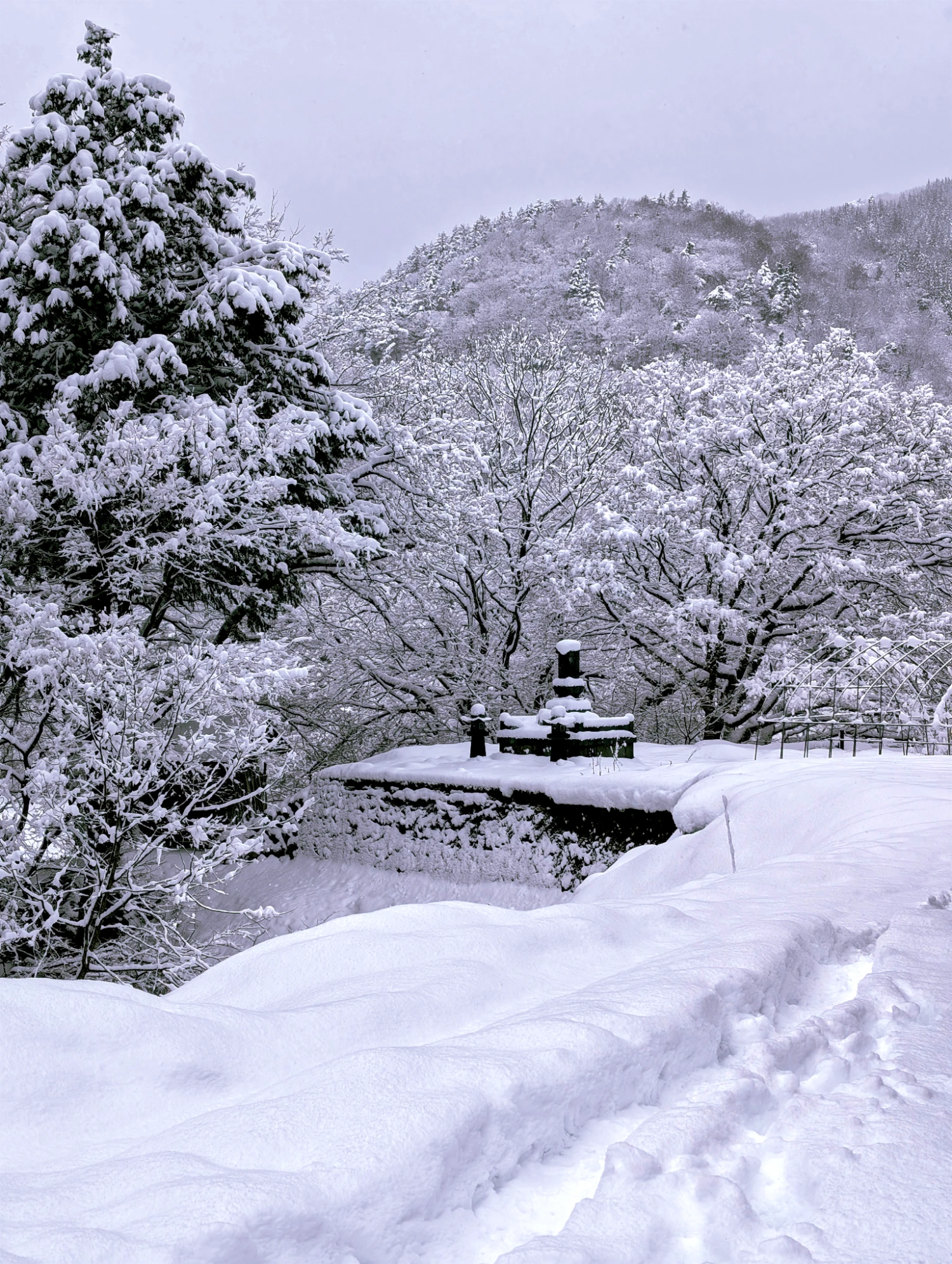 Shirakawa-go